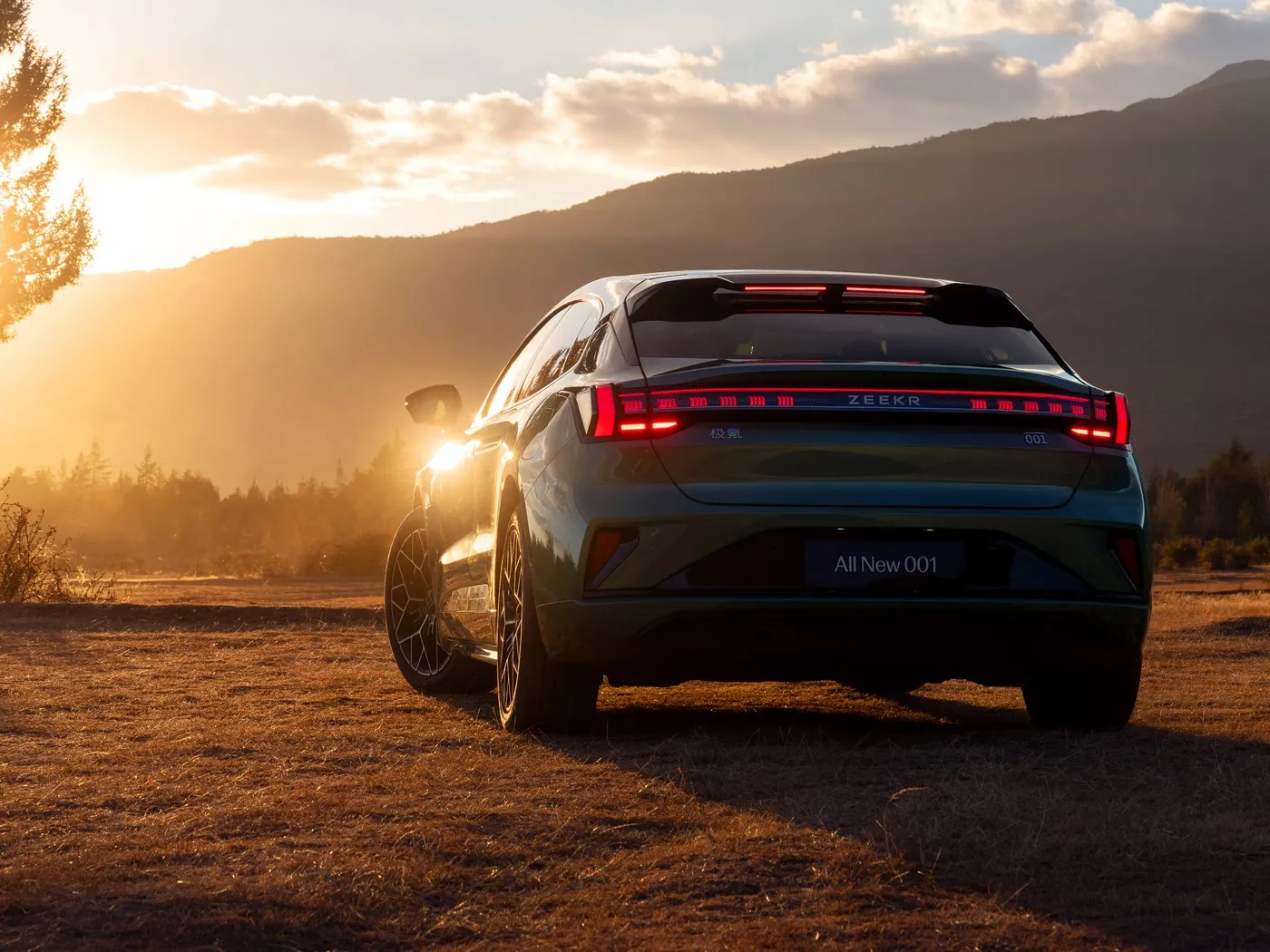 Zeekr 001 Hatchback elettrico a 5 posti 4WD di alta qualità 705 km a lungo raggio Veicolo a nuova energia