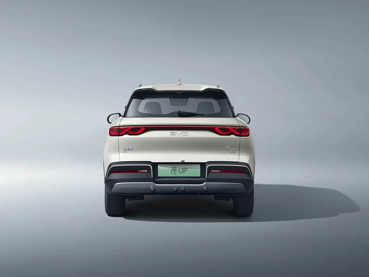 BYD Yuan UP Vitality Edition, SUV elettrico puro a lungo raggio, e Platform 3.0, veicolo per pendolari urbani New Energy