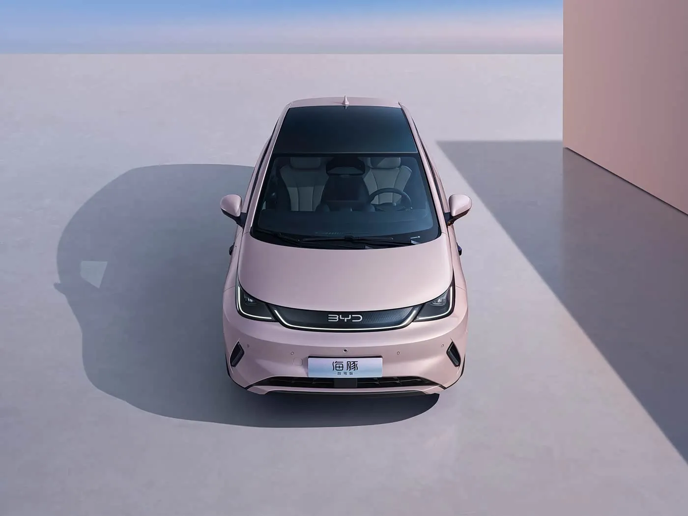 BYD Dolphin Urban Style Mini Electric Hatchback Fashion Edition con tecnologia intelligente Veicolo a nuova energia